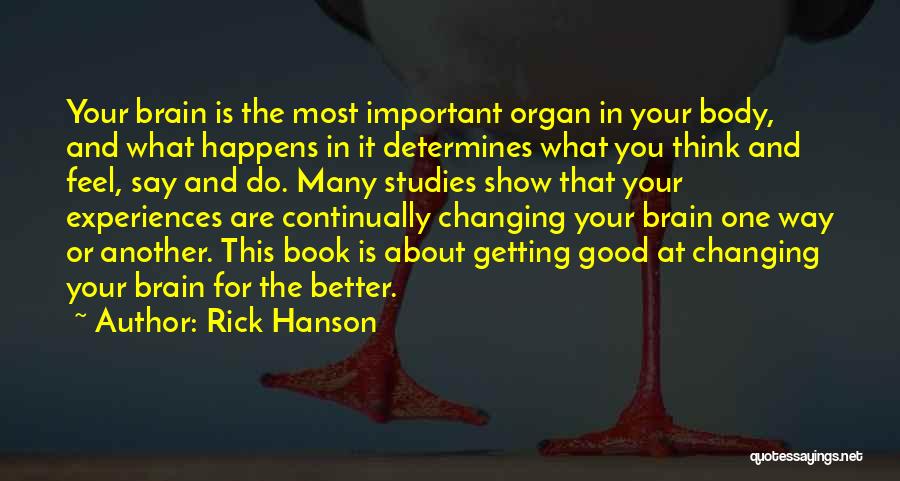 Rick Hanson Quotes: Your Brain Is The Most Important Organ In Your Body, And What Happens In It Determines What You Think And