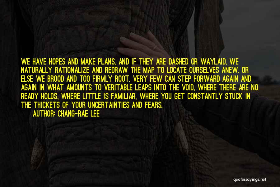 Chang-rae Lee Quotes: We Have Hopes And Make Plans, And If They Are Dashed Or Waylaid, We Naturally Rationalize And Redraw The Map