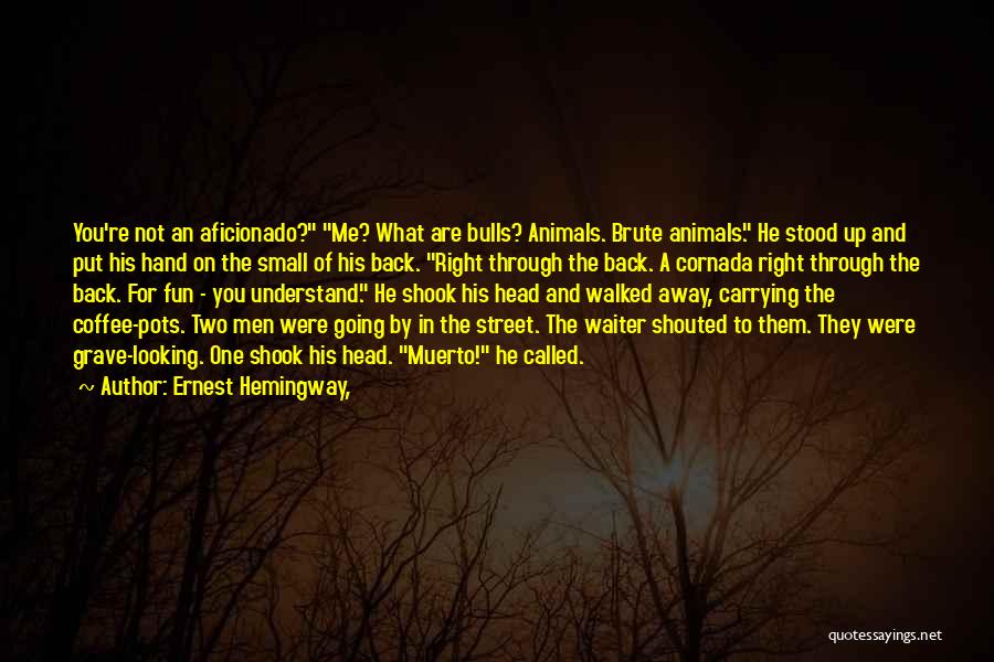 Ernest Hemingway, Quotes: You're Not An Aficionado? Me? What Are Bulls? Animals. Brute Animals. He Stood Up And Put His Hand On The