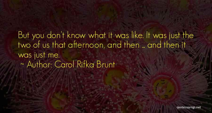 Carol Rifka Brunt Quotes: But You Don't Know What It Was Like. It Was Just The Two Of Us That Afternoon, And Then ...