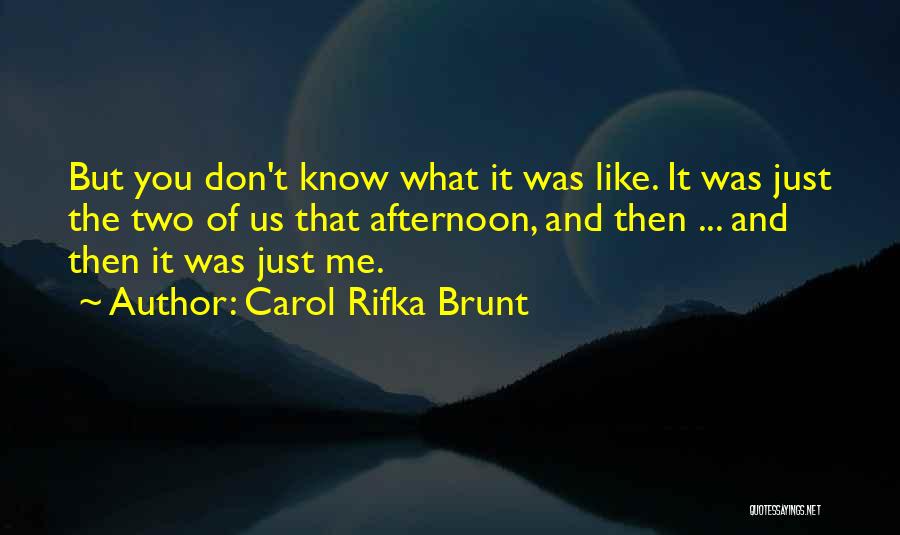 Carol Rifka Brunt Quotes: But You Don't Know What It Was Like. It Was Just The Two Of Us That Afternoon, And Then ...