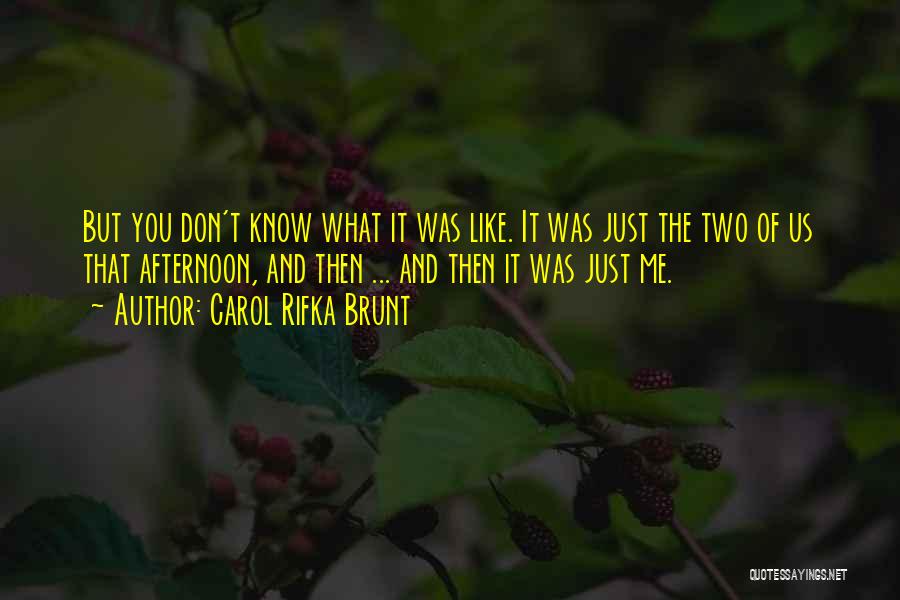 Carol Rifka Brunt Quotes: But You Don't Know What It Was Like. It Was Just The Two Of Us That Afternoon, And Then ...