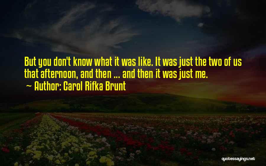 Carol Rifka Brunt Quotes: But You Don't Know What It Was Like. It Was Just The Two Of Us That Afternoon, And Then ...