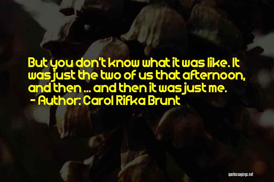 Carol Rifka Brunt Quotes: But You Don't Know What It Was Like. It Was Just The Two Of Us That Afternoon, And Then ...