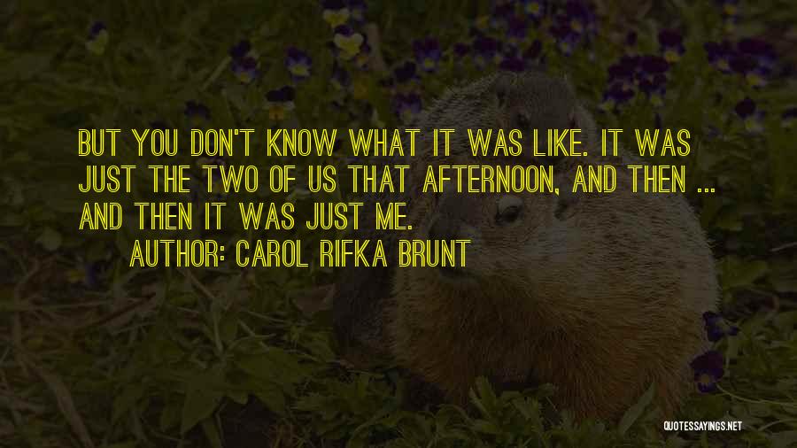 Carol Rifka Brunt Quotes: But You Don't Know What It Was Like. It Was Just The Two Of Us That Afternoon, And Then ...