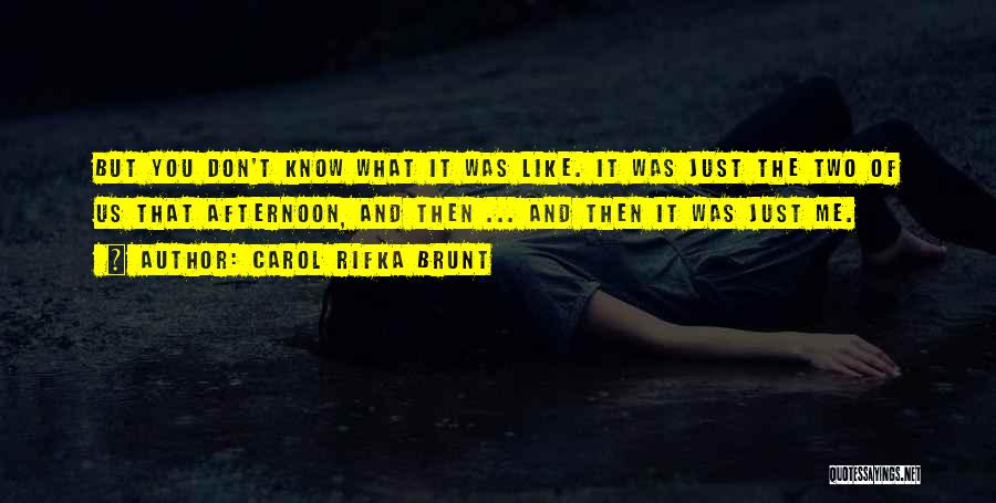 Carol Rifka Brunt Quotes: But You Don't Know What It Was Like. It Was Just The Two Of Us That Afternoon, And Then ...