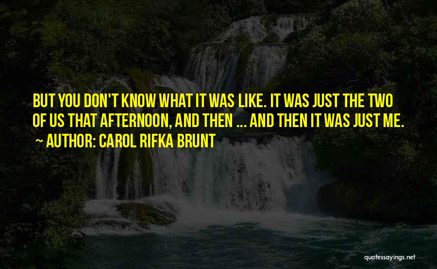Carol Rifka Brunt Quotes: But You Don't Know What It Was Like. It Was Just The Two Of Us That Afternoon, And Then ...