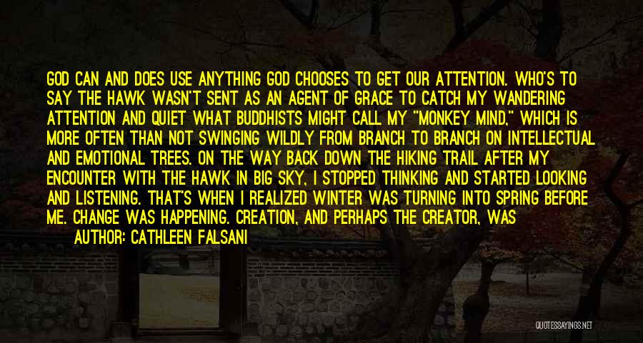 Cathleen Falsani Quotes: God Can And Does Use Anything God Chooses To Get Our Attention. Who's To Say The Hawk Wasn't Sent As