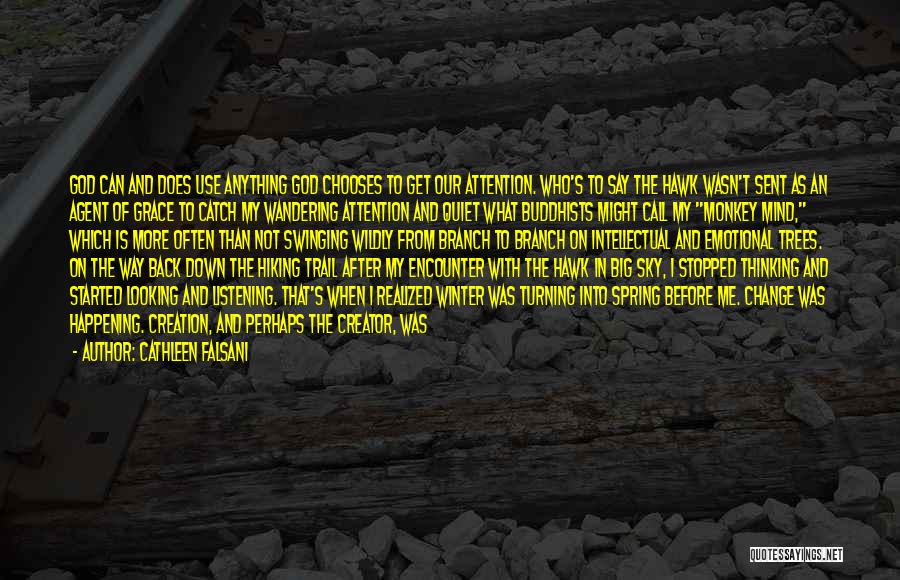 Cathleen Falsani Quotes: God Can And Does Use Anything God Chooses To Get Our Attention. Who's To Say The Hawk Wasn't Sent As