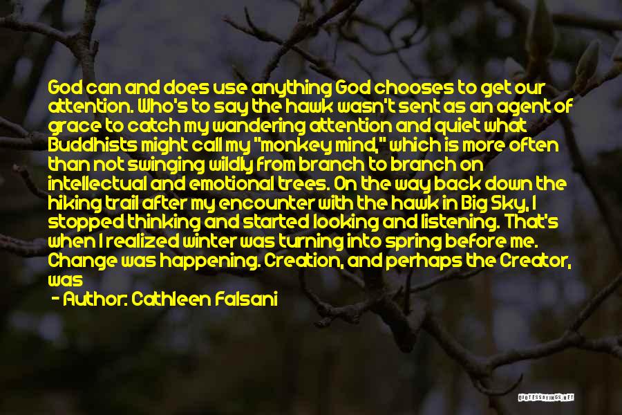 Cathleen Falsani Quotes: God Can And Does Use Anything God Chooses To Get Our Attention. Who's To Say The Hawk Wasn't Sent As