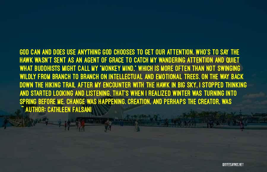 Cathleen Falsani Quotes: God Can And Does Use Anything God Chooses To Get Our Attention. Who's To Say The Hawk Wasn't Sent As