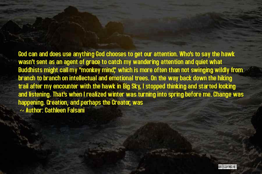 Cathleen Falsani Quotes: God Can And Does Use Anything God Chooses To Get Our Attention. Who's To Say The Hawk Wasn't Sent As