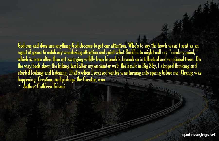 Cathleen Falsani Quotes: God Can And Does Use Anything God Chooses To Get Our Attention. Who's To Say The Hawk Wasn't Sent As
