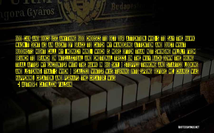 Cathleen Falsani Quotes: God Can And Does Use Anything God Chooses To Get Our Attention. Who's To Say The Hawk Wasn't Sent As