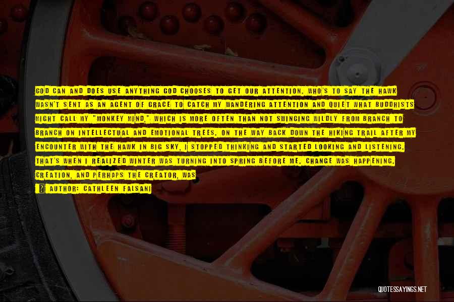 Cathleen Falsani Quotes: God Can And Does Use Anything God Chooses To Get Our Attention. Who's To Say The Hawk Wasn't Sent As