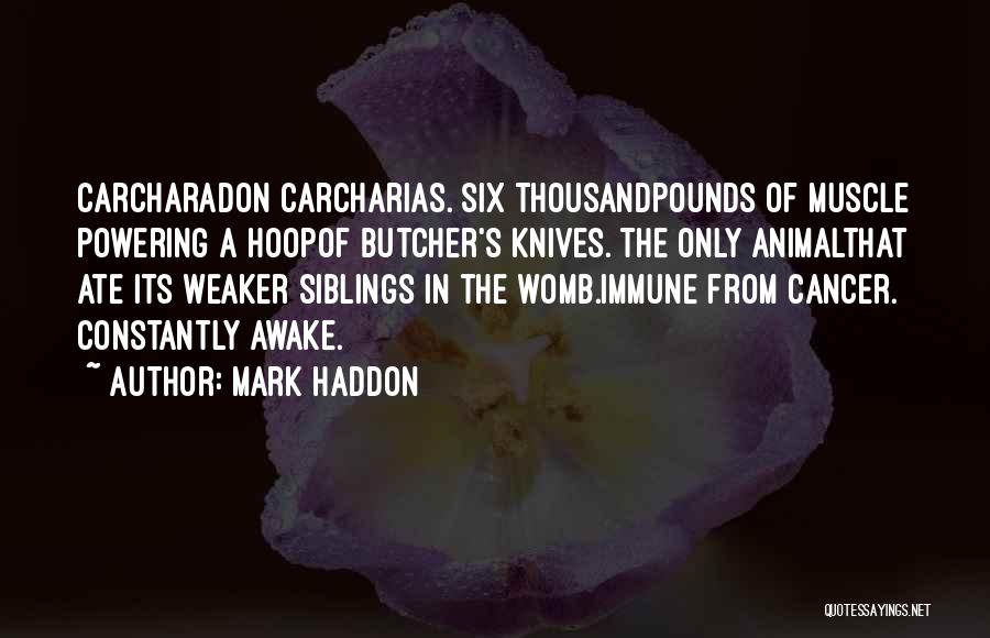 Mark Haddon Quotes: Carcharadon Carcharias. Six Thousandpounds Of Muscle Powering A Hoopof Butcher's Knives. The Only Animalthat Ate Its Weaker Siblings In The