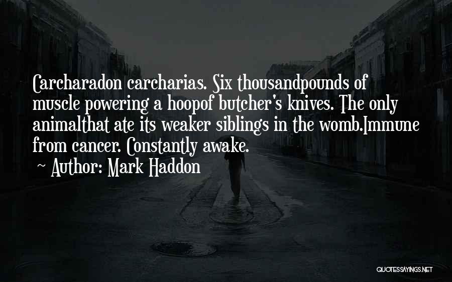 Mark Haddon Quotes: Carcharadon Carcharias. Six Thousandpounds Of Muscle Powering A Hoopof Butcher's Knives. The Only Animalthat Ate Its Weaker Siblings In The