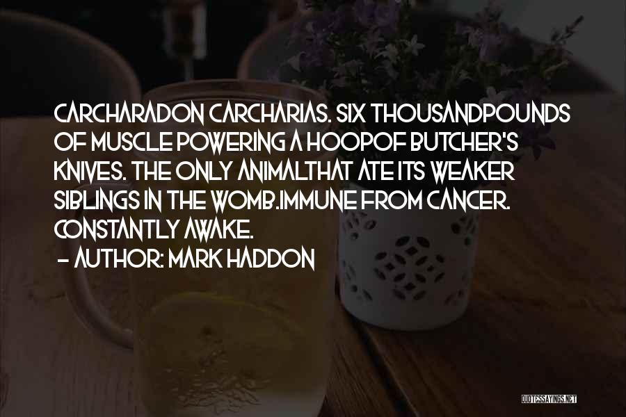 Mark Haddon Quotes: Carcharadon Carcharias. Six Thousandpounds Of Muscle Powering A Hoopof Butcher's Knives. The Only Animalthat Ate Its Weaker Siblings In The