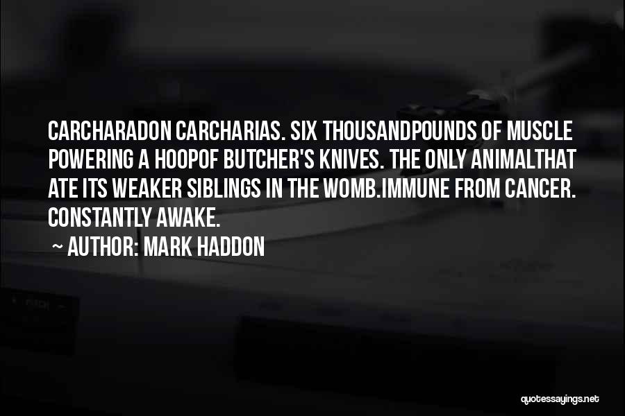 Mark Haddon Quotes: Carcharadon Carcharias. Six Thousandpounds Of Muscle Powering A Hoopof Butcher's Knives. The Only Animalthat Ate Its Weaker Siblings In The