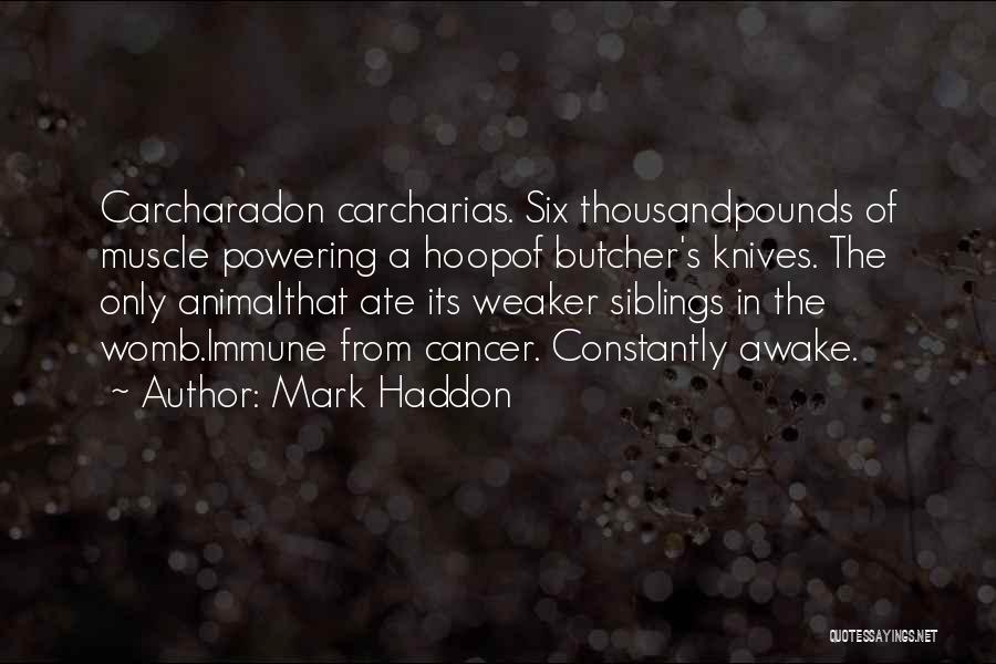 Mark Haddon Quotes: Carcharadon Carcharias. Six Thousandpounds Of Muscle Powering A Hoopof Butcher's Knives. The Only Animalthat Ate Its Weaker Siblings In The