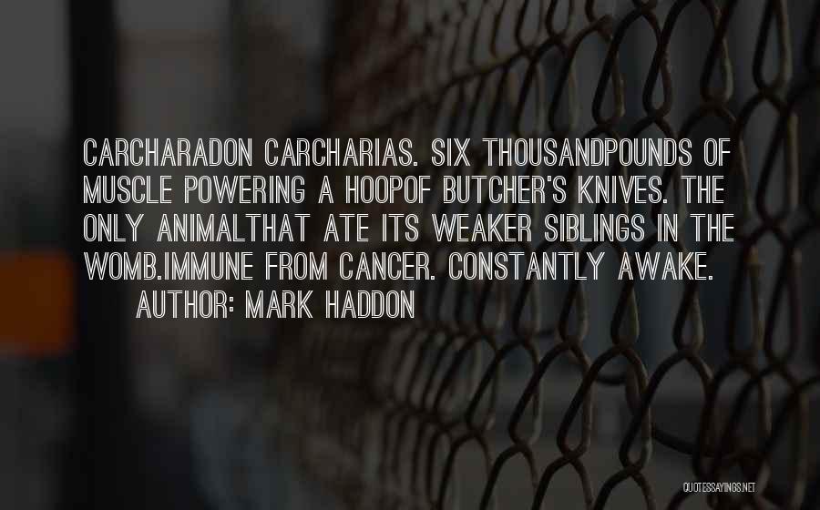 Mark Haddon Quotes: Carcharadon Carcharias. Six Thousandpounds Of Muscle Powering A Hoopof Butcher's Knives. The Only Animalthat Ate Its Weaker Siblings In The