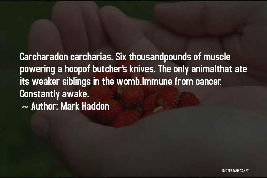Mark Haddon Quotes: Carcharadon Carcharias. Six Thousandpounds Of Muscle Powering A Hoopof Butcher's Knives. The Only Animalthat Ate Its Weaker Siblings In The