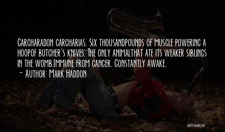 Mark Haddon Quotes: Carcharadon Carcharias. Six Thousandpounds Of Muscle Powering A Hoopof Butcher's Knives. The Only Animalthat Ate Its Weaker Siblings In The