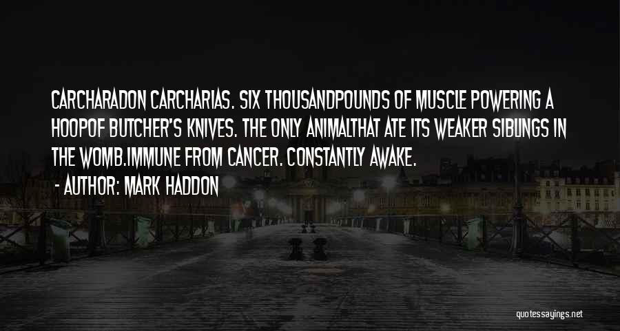 Mark Haddon Quotes: Carcharadon Carcharias. Six Thousandpounds Of Muscle Powering A Hoopof Butcher's Knives. The Only Animalthat Ate Its Weaker Siblings In The