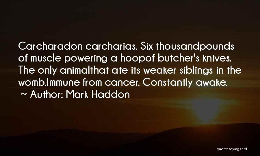 Mark Haddon Quotes: Carcharadon Carcharias. Six Thousandpounds Of Muscle Powering A Hoopof Butcher's Knives. The Only Animalthat Ate Its Weaker Siblings In The