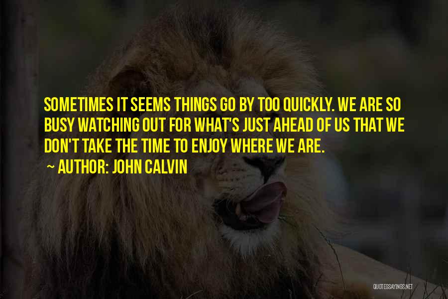 John Calvin Quotes: Sometimes It Seems Things Go By Too Quickly. We Are So Busy Watching Out For What's Just Ahead Of Us