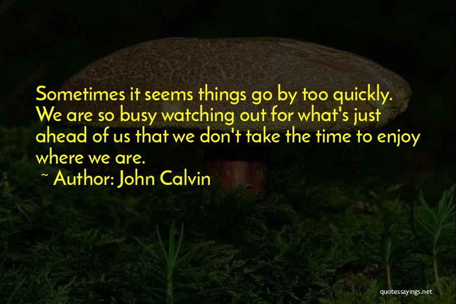 John Calvin Quotes: Sometimes It Seems Things Go By Too Quickly. We Are So Busy Watching Out For What's Just Ahead Of Us