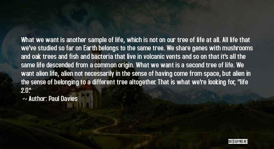 Paul Davies Quotes: What We Want Is Another Sample Of Life, Which Is Not On Our Tree Of Life At All. All Life