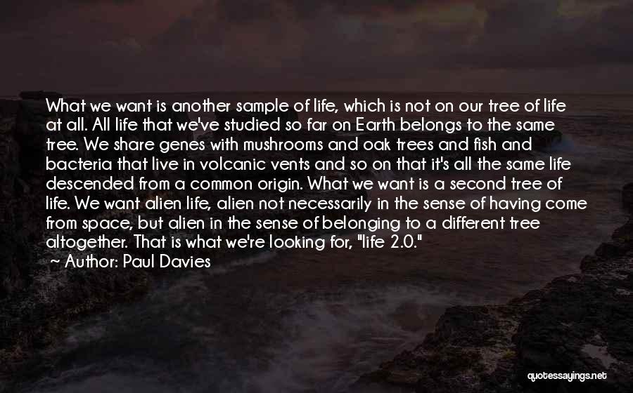 Paul Davies Quotes: What We Want Is Another Sample Of Life, Which Is Not On Our Tree Of Life At All. All Life