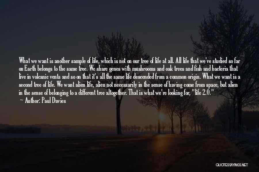 Paul Davies Quotes: What We Want Is Another Sample Of Life, Which Is Not On Our Tree Of Life At All. All Life