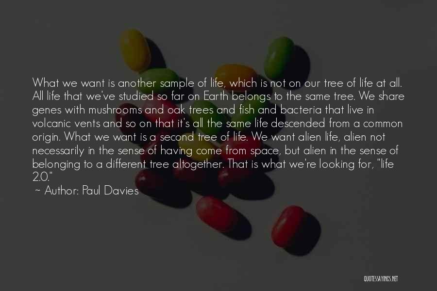 Paul Davies Quotes: What We Want Is Another Sample Of Life, Which Is Not On Our Tree Of Life At All. All Life