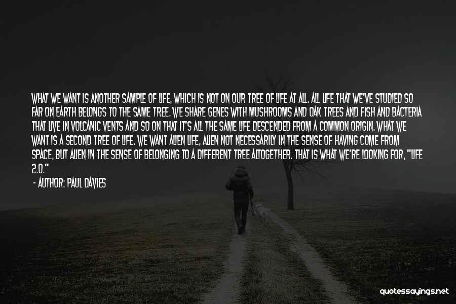 Paul Davies Quotes: What We Want Is Another Sample Of Life, Which Is Not On Our Tree Of Life At All. All Life