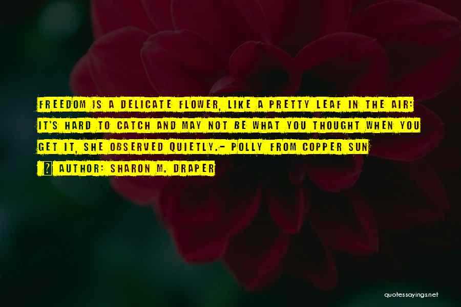 Sharon M. Draper Quotes: Freedom Is A Delicate Flower, Like A Pretty Leaf In The Air: It's Hard To Catch And May Not Be