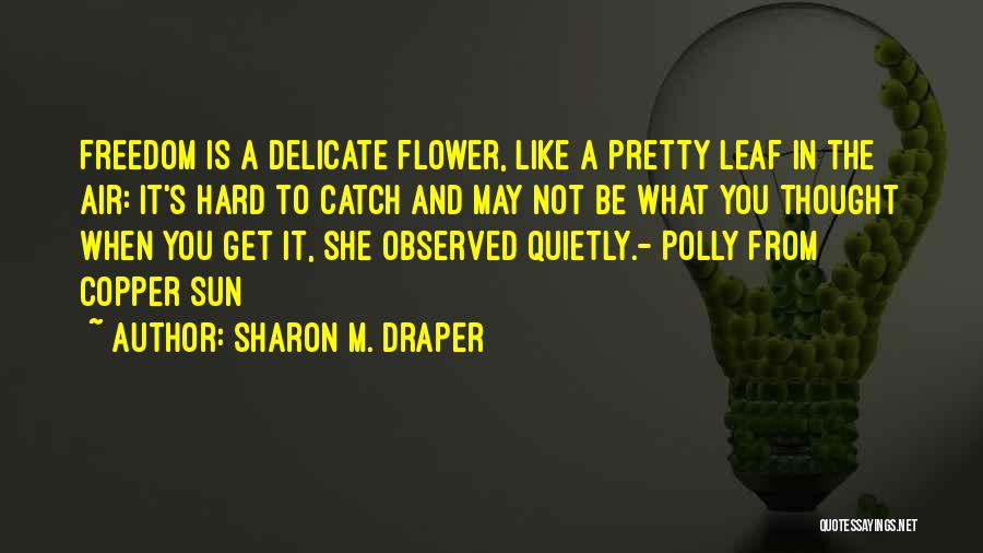 Sharon M. Draper Quotes: Freedom Is A Delicate Flower, Like A Pretty Leaf In The Air: It's Hard To Catch And May Not Be