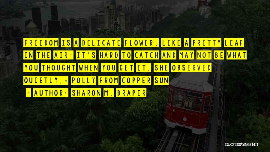 Sharon M. Draper Quotes: Freedom Is A Delicate Flower, Like A Pretty Leaf In The Air: It's Hard To Catch And May Not Be