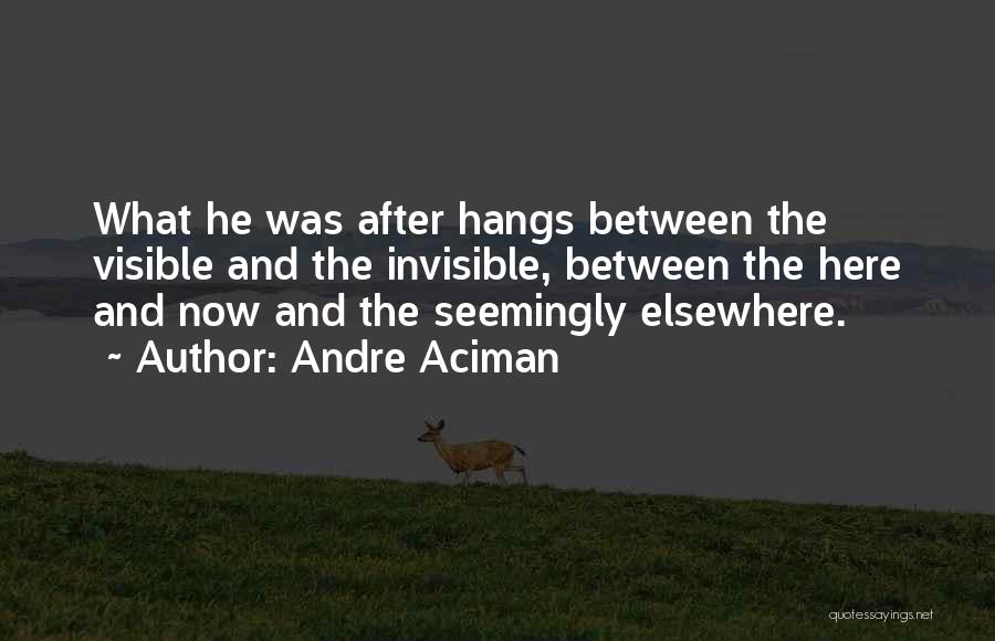 Andre Aciman Quotes: What He Was After Hangs Between The Visible And The Invisible, Between The Here And Now And The Seemingly Elsewhere.