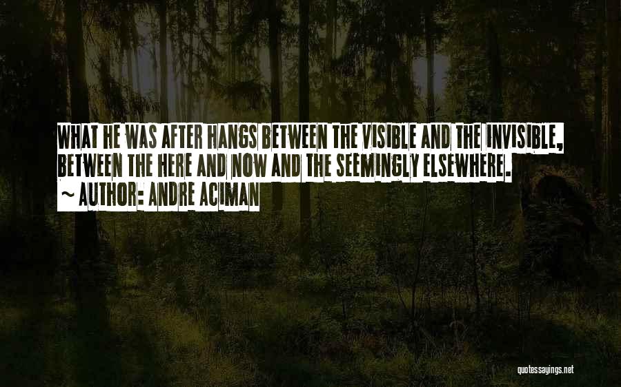 Andre Aciman Quotes: What He Was After Hangs Between The Visible And The Invisible, Between The Here And Now And The Seemingly Elsewhere.