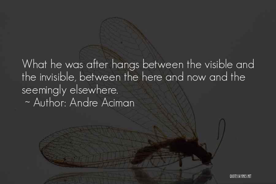 Andre Aciman Quotes: What He Was After Hangs Between The Visible And The Invisible, Between The Here And Now And The Seemingly Elsewhere.