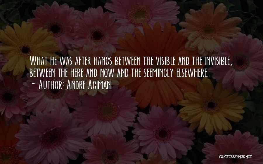 Andre Aciman Quotes: What He Was After Hangs Between The Visible And The Invisible, Between The Here And Now And The Seemingly Elsewhere.