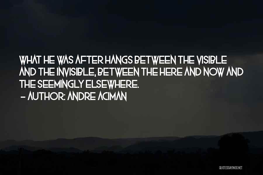 Andre Aciman Quotes: What He Was After Hangs Between The Visible And The Invisible, Between The Here And Now And The Seemingly Elsewhere.