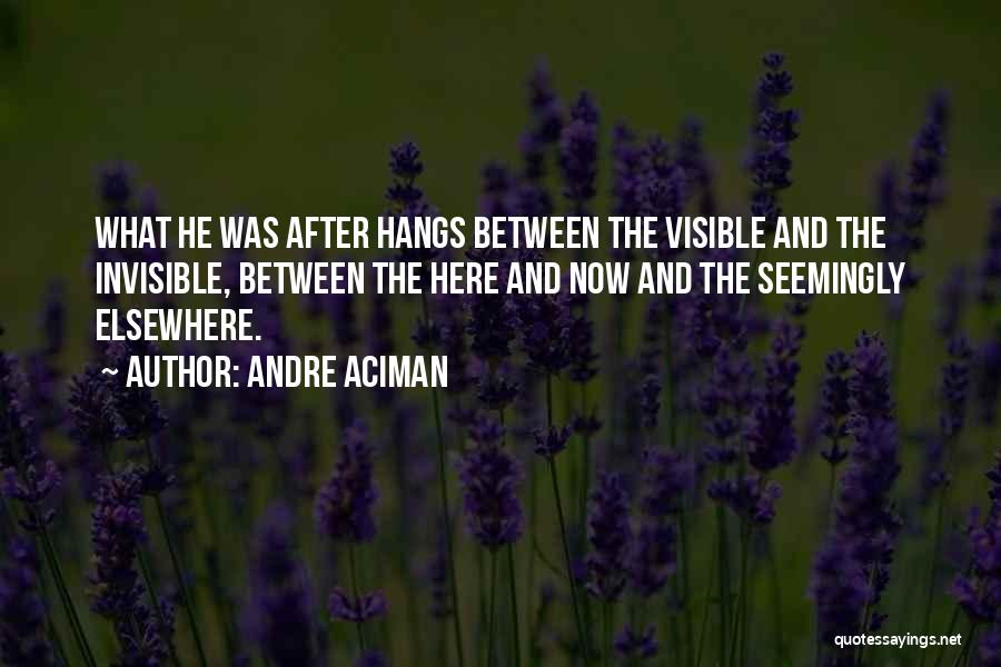 Andre Aciman Quotes: What He Was After Hangs Between The Visible And The Invisible, Between The Here And Now And The Seemingly Elsewhere.