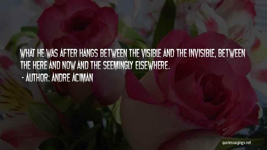 Andre Aciman Quotes: What He Was After Hangs Between The Visible And The Invisible, Between The Here And Now And The Seemingly Elsewhere.