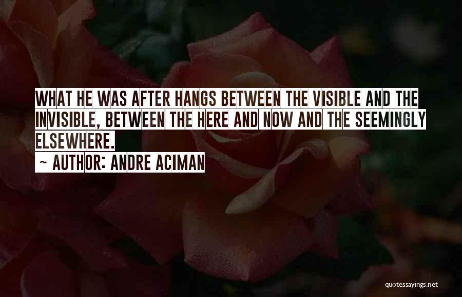 Andre Aciman Quotes: What He Was After Hangs Between The Visible And The Invisible, Between The Here And Now And The Seemingly Elsewhere.