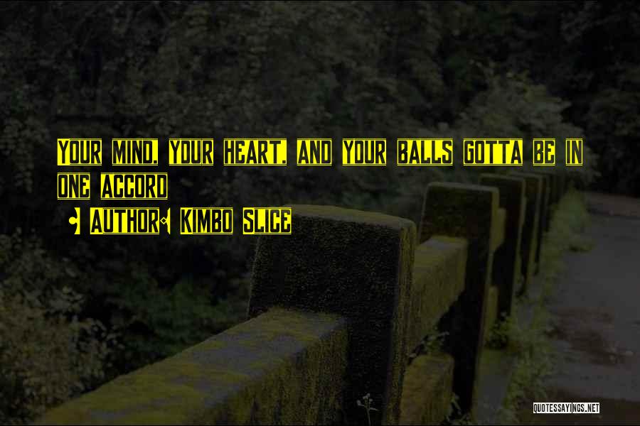 Kimbo Slice Quotes: Your Mind, Your Heart, And Your Balls Gotta Be In One Accord