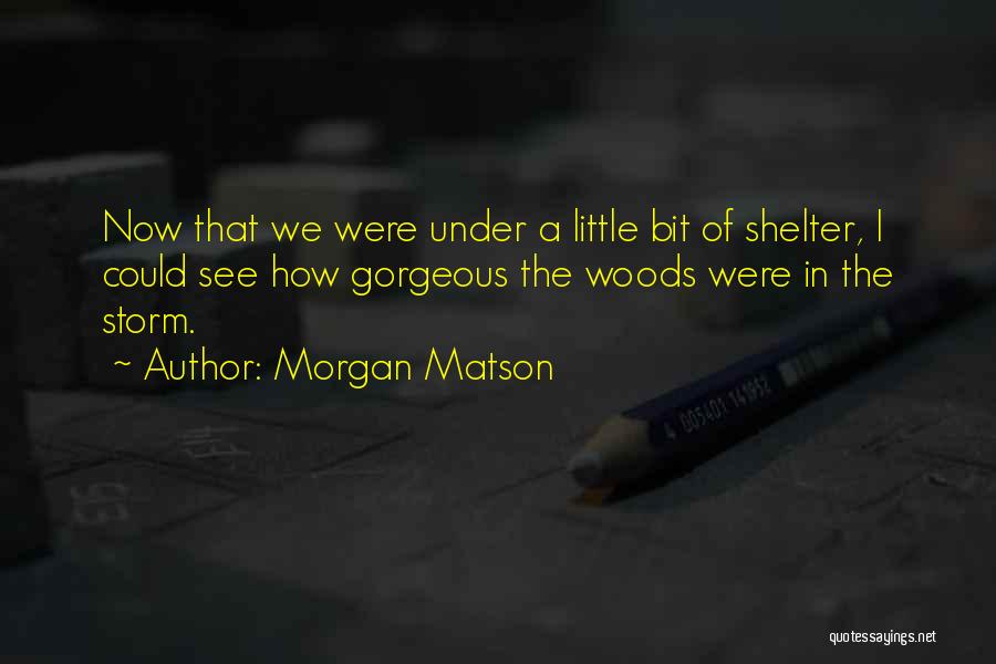 Morgan Matson Quotes: Now That We Were Under A Little Bit Of Shelter, I Could See How Gorgeous The Woods Were In The