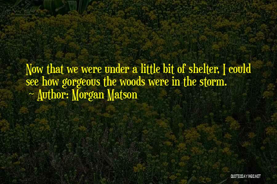 Morgan Matson Quotes: Now That We Were Under A Little Bit Of Shelter, I Could See How Gorgeous The Woods Were In The